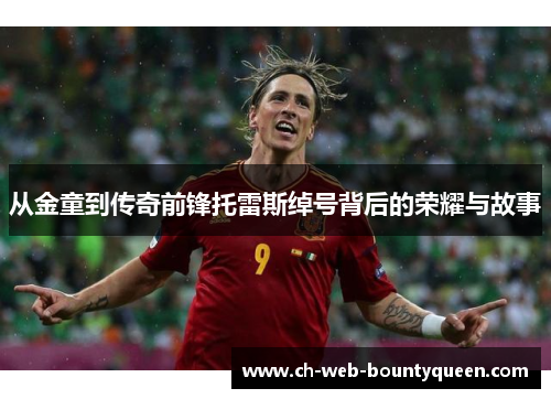 从金童到传奇前锋托雷斯绰号背后的荣耀与故事