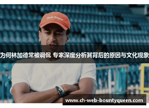 为何林加德常被调侃 专家深度分析其背后的原因与文化现象