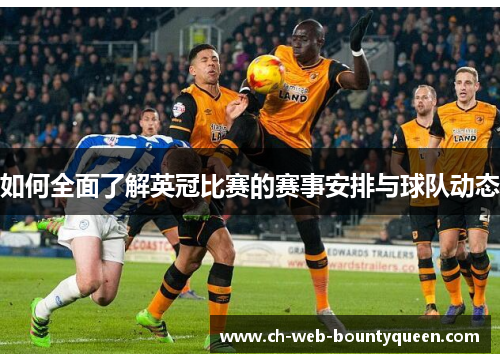 如何全面了解英冠比赛的赛事安排与球队动态