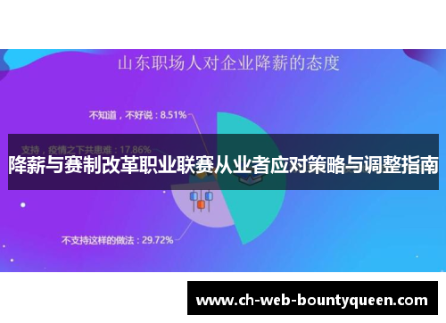 降薪与赛制改革职业联赛从业者应对策略与调整指南